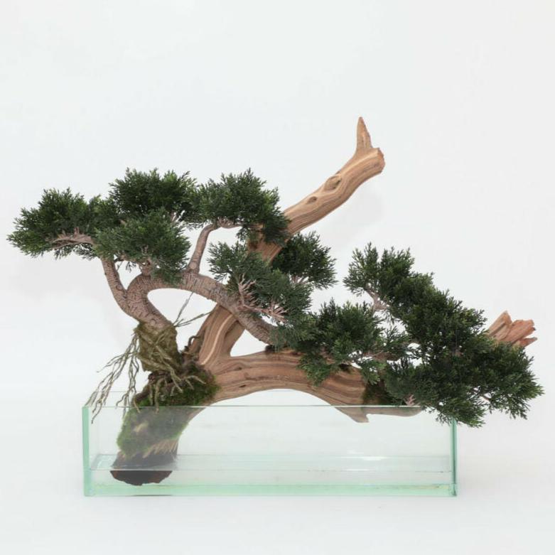 Artificial Creeping Juniper Bonsai in Glass Pot