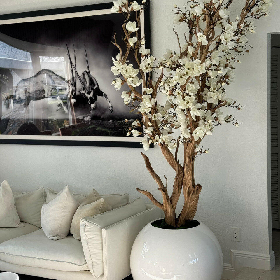 White Magnolia Tree in 126 cm Shiny White Globe Pot